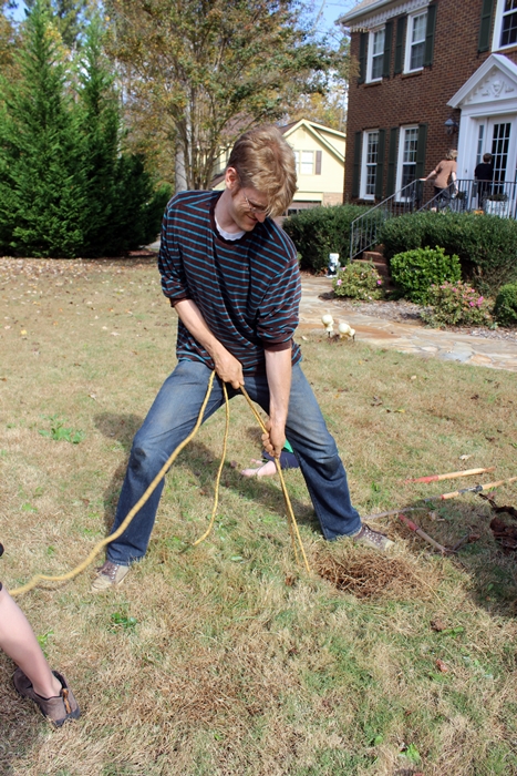 Filling in holes in the yard: the most ridiculous post ever