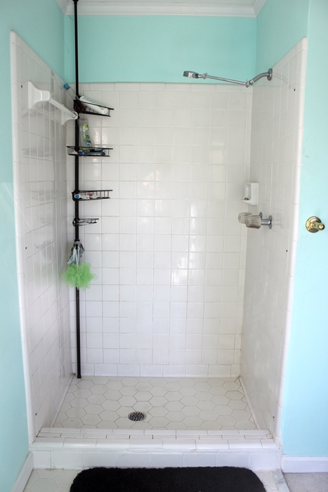 Removing the Shower Door: Breaking Ground in the Master Bathroom