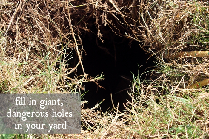 Filling in holes in the yard: the most ridiculous post ever